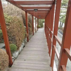 바위꽃 리뷰 사진