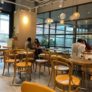 식물학 리뷰 사진