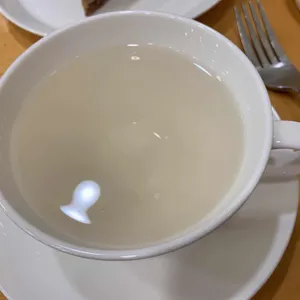 스노브 사진