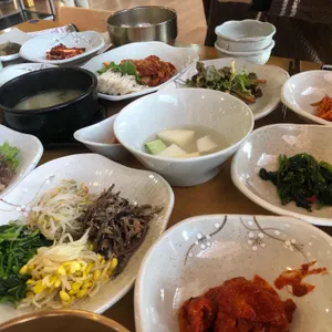 벽오동 사진