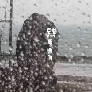 동복뚝배기 리뷰 사진