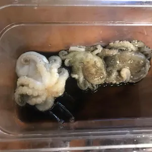 사계절어촌 사진
