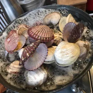 사계절어촌 사진