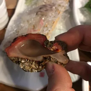 사계절어촌 사진