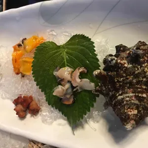 사계절어촌 사진