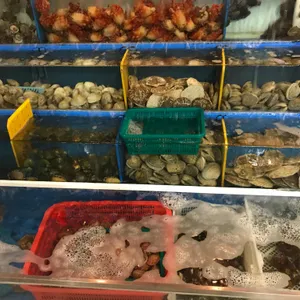 사계절어촌 리뷰 사진