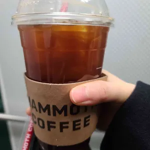 매머드익스프레스 사진