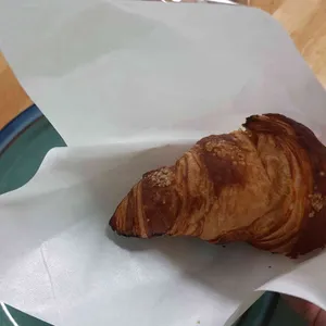 루앙의부엉이 사진