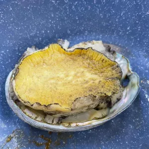 소정식당 사진