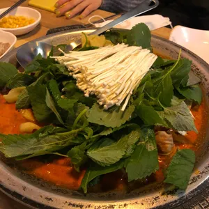 순곱이네 사진