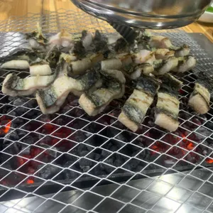 힘찬장어 사진