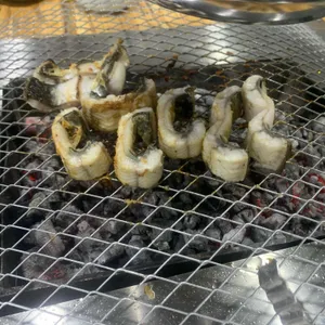 힘찬장어 사진
