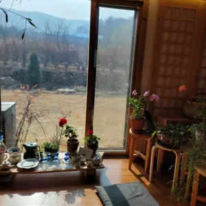 홍차가게 다시올 리뷰 사진