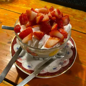 노르웨이의 숲 사진