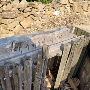 홍차가게 다시올 리뷰 사진