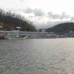 대구횟집 리뷰 사진