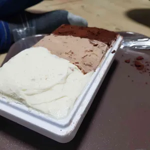 플랑크톤 사진