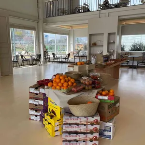 록산 리뷰 사진