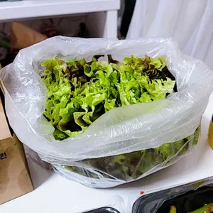 이화 사진