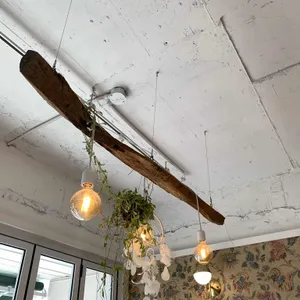 하쿠나마타타 대표 사진