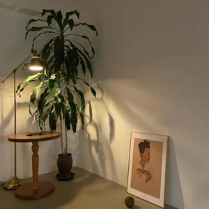 브라운 띠어리 리뷰 사진