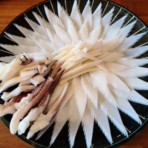 토끼트멍 사진