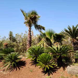 인스밀 리뷰 사진