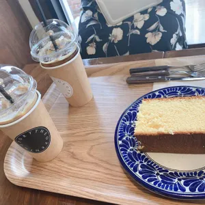 오프닝포트 사진