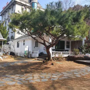 산엘아르카 대표 사진