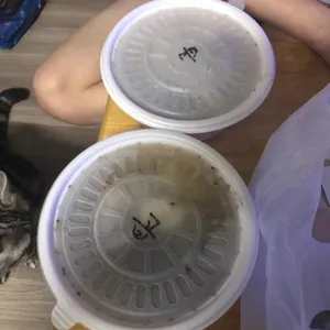 육쌈냉면 사진