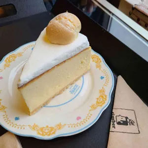 팀버 사진