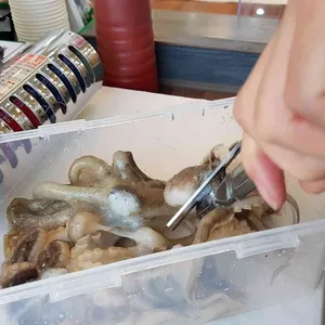 섬덕회센타 사진