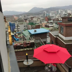 카페트레블 리뷰 사진