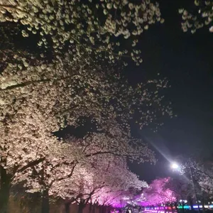 샤브향 리뷰 사진