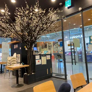 아비꼬 리뷰 사진