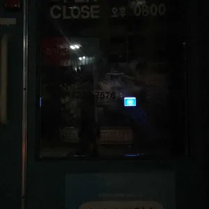 마이브라더스 리뷰 사진