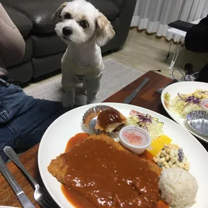 푸짐돈까스전문점 사진