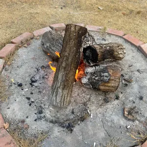 산과들가든 리뷰 사진