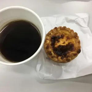 기러기 사진