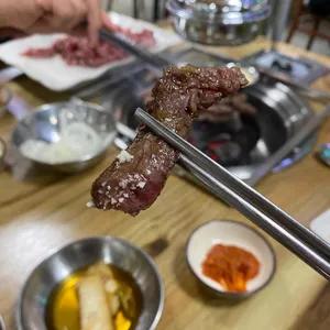 은행나무갈매기 사진
