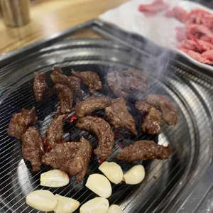 은행나무갈매기 사진