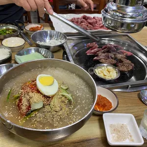 은행나무갈매기 사진