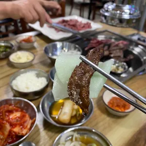 은행나무갈매기 사진