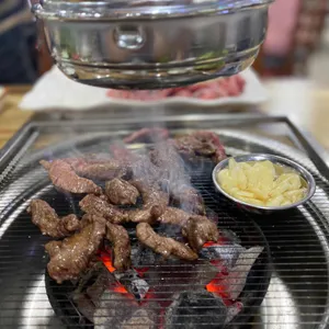 은행나무갈매기 사진