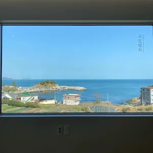 거제도외포멸치 리뷰 사진