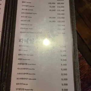 브람스 리뷰 사진