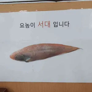 광장미가 리뷰 사진