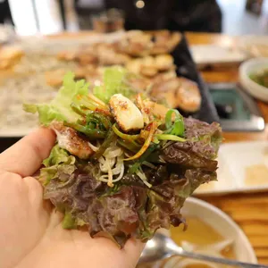 돼야지 사진