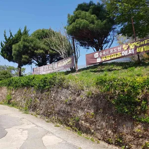 숲속의포도원 리뷰 사진