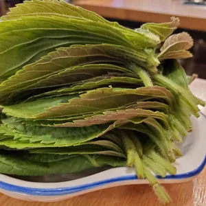 안씨네 쭈꾸미 사진